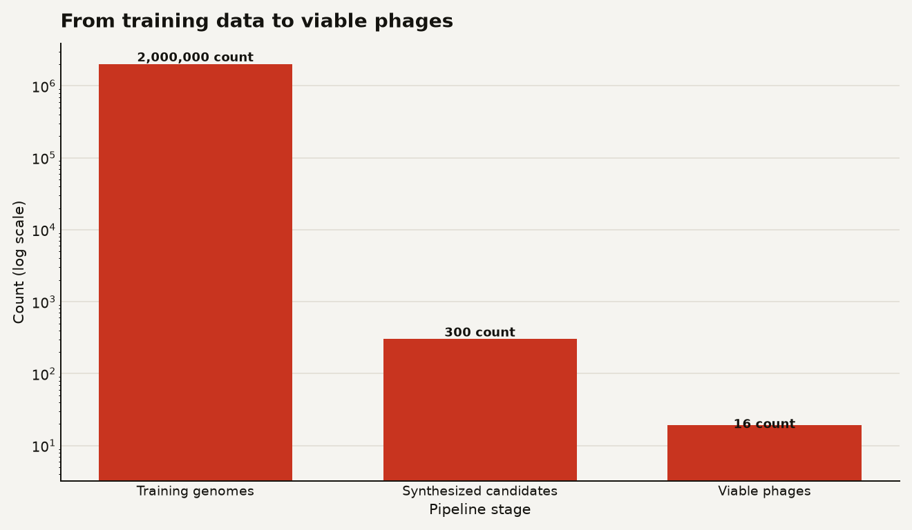 Bar chart on a logarithmic scale showing three pipeline stages: approximately 2 million training phage genomes, about 300 synthesized candidate genomes, and 16 viable phages.